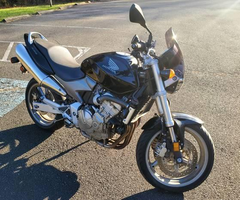 2006 Honda Hornet 599